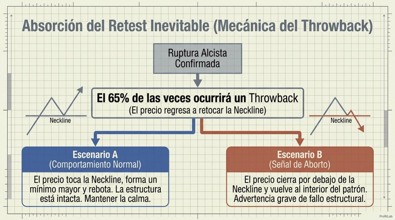 Lámina 11: mecánica del throwback